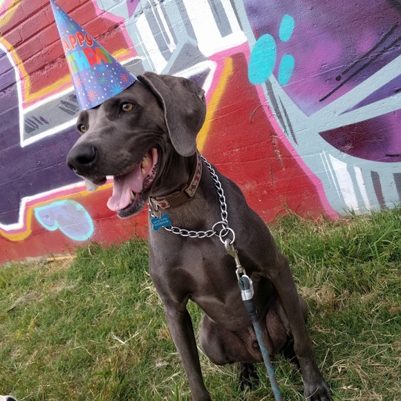 Meet your Posher, Kati - Picture 3 of 5